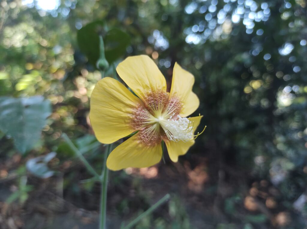 IMG_20221224_091714104